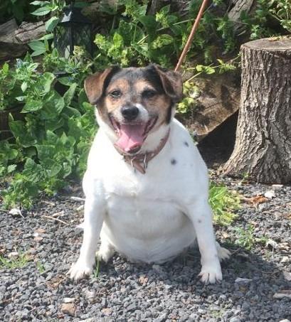 Aunt Bess-Pee *Re-homed*