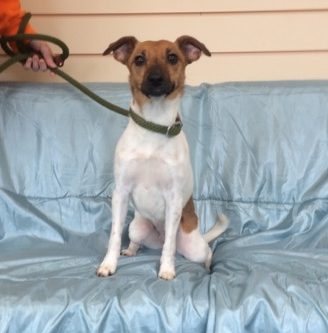 Bil-lead Eilish *Re-homed*